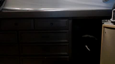 pleasantdinosaurus7537 online show from 11/17/25, 01:00