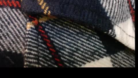 Snapshot of pllkgh45ymn chatting on 09/10/25, 04:40 pllkgh45ymn online show from 09/10/25, 04:40