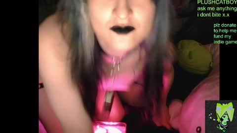 Snapshot of plushcatboy chatting on 04/07/26, 04:24 plushcatboy online show from 04/07/26, 04:24