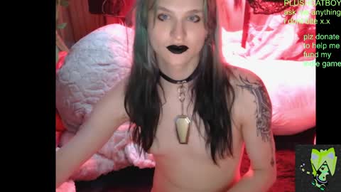 Snapshot of plushcatboy chatting on 04/21/26, 04:08 plushcatboy online show from 04/21/26, 04:08