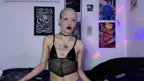    online show from 02/28/26, 02:01