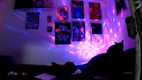    online show from 06/30/26, 11:50