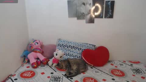 Pocahontas online show from 11/11/25, 04:18