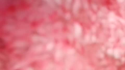 pocahontasdoll95 online show from 05/14/26, 07:53