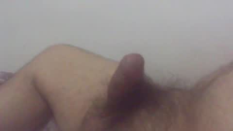 Snapshot of pol2023 chatting on 12/14/24, 03:40 pol2023 online show from 12/14/24, 03:40