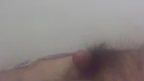 Snapshot of pol2023 chatting on 03/04/25, 03:33 pol2023 online show from 03/04/25, 03:33