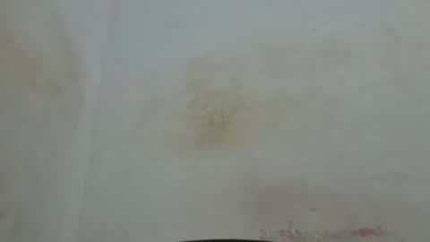 poli online show from 04/04/26, 01:59