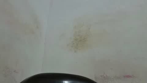 poli online show from 05/12/26, 02:52