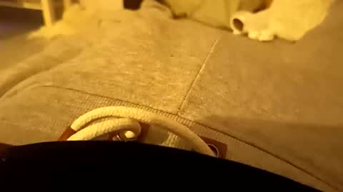 pollontf online show from 03/02/26, 01:41