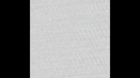 Polly online show from 03/12/25, 12:26