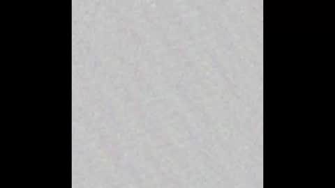 Polly online show from 10/16/25, 07:53