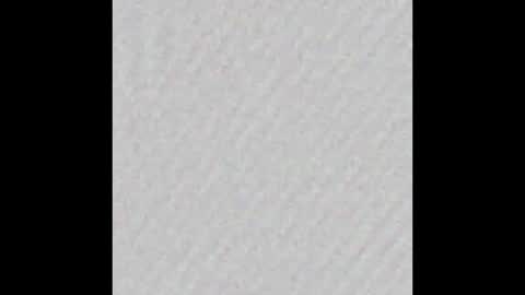 Polly online show from 02/04/26, 06:41