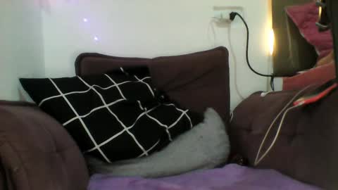 pollycrush online show from 11/05/25, 02:33