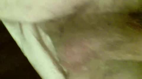 OD online show from 11/26/25, 07:48