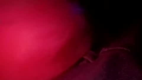 porkchop696974 online show from 02/20/26, 06:59