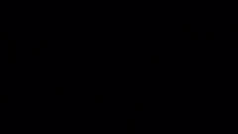 porkynerd online show from 10/29/25, 12:07