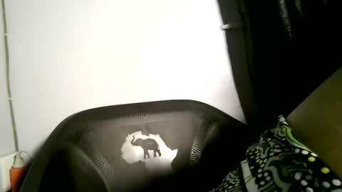 luna online show from 04/02/26, 03:48