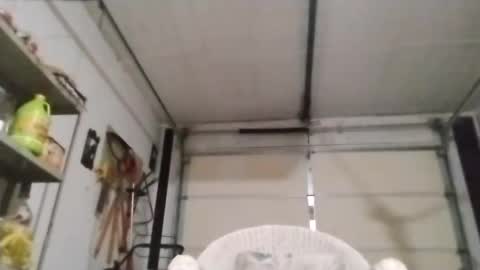 PipeLayerPlayer007 online show from 10/04/25, 05:38