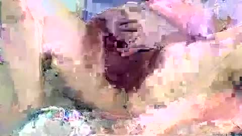 dikud0wn online show from 09/14/25, 02:22