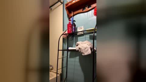 Snapshot of pplease669283 chatting on 03/03/26, 10:37 pplease669283 online show from 03/03/26, 10:37