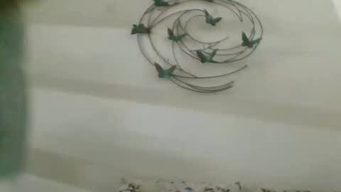 Snapshot of praveen100797 chatting on 10/02/25, 11:17 praveen100797 online show from 10/02/25, 11:17