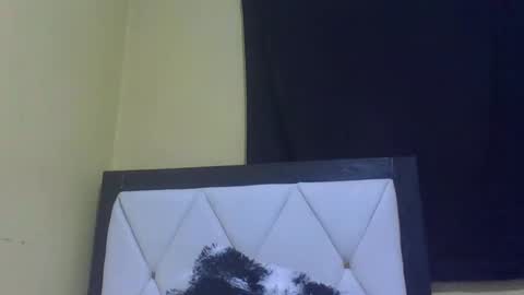 Snapshot of prekky chatting on 02/27/26, 07:14 lynn online show from 02/27/26, 07:14