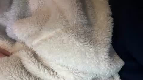 Prelako online show from 10/26/25, 12:00