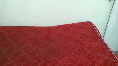 preshty online show from 11/14/25, 04:06