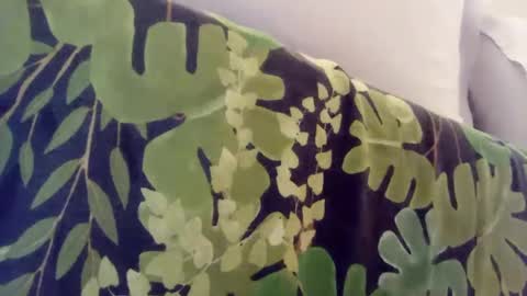 pretty_boy_jack online show from 01/08/25, 01:00