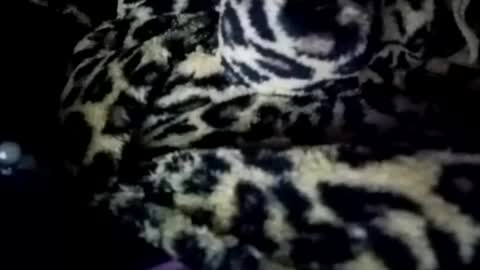 prettyma online show from 01/21/25, 08:19