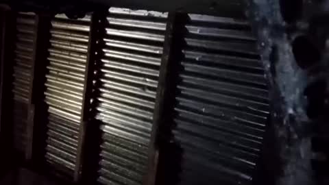 prettyneca5991 online show from 01/16/26, 05:28