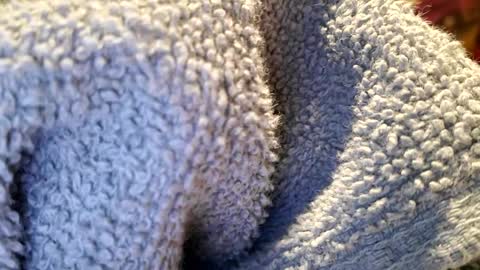 PrettyPrick4U online show from 01/22/25, 01:42