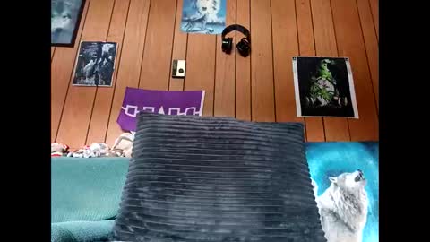 Snapshot of prettysolid7 chatting on 10/13/25, 01:11 prettysolid7 online show from 10/13/25, 01:11