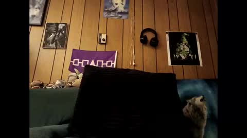 Snapshot of prettysolid7 chatting on 10/15/25, 07:19 prettysolid7 online show from 10/15/25, 07:19