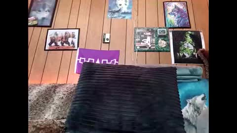 prettysolid7 online show from 02/14/26, 01:08