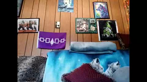 prettysolid7 online show from 03/01/26, 04:31