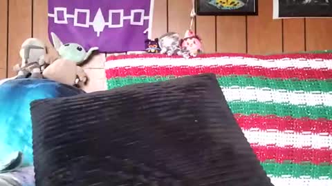 prettysolidd7 online show from 01/04/25, 02:35