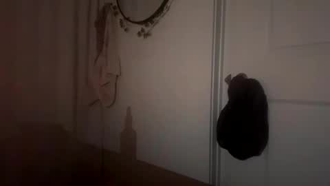 prettything11 online show from 11/10/25, 03:16