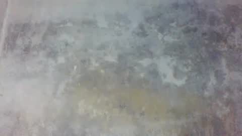 Prince edi online show from 05/24/26, 05:51