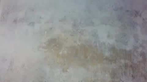 Prince edi online show from 05/25/26, 02:45