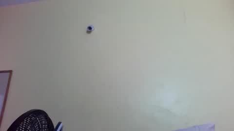 phelly online show from 02/04/26, 11:42