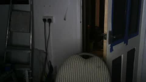 projectorepson online show from 01/19/25, 06:32