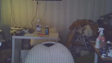 projectorepson online show from 03/20/26, 07:52