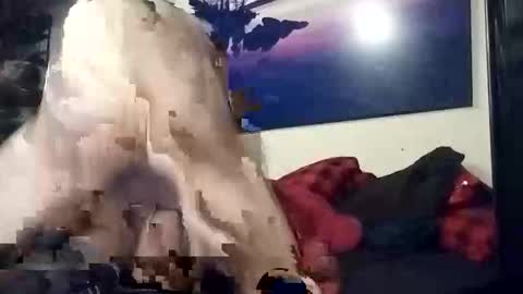 properttw online show from 10/13/25, 04:29