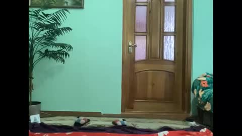 proud sweet 21 online show from 04/16/26, 03:02