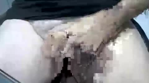 psfunman online show from 02/16/25, 05:48