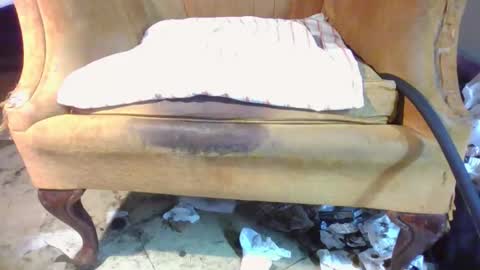 pspee313 online show from 04/11/26, 07:45