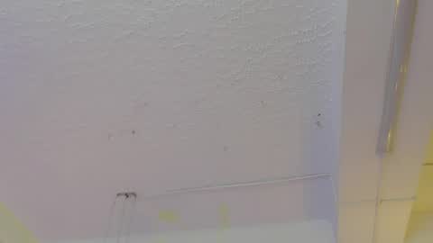 Pucca online show from 05/13/26, 12:13