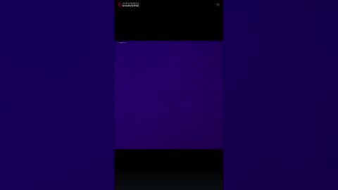 puddled_wonderland online show from 02/06/26, 08:51