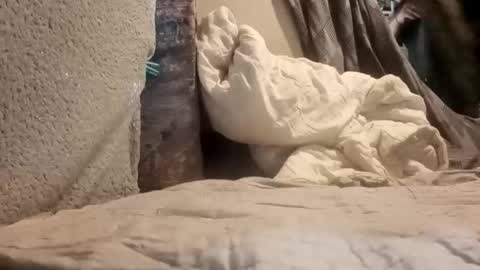 Snapshot of puffingoodtime8345 chatting on 09/20/25, 04:57 puffingoodtime8345 online show from 09/20/25, 04:57